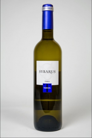 Sybarus Tardana Único